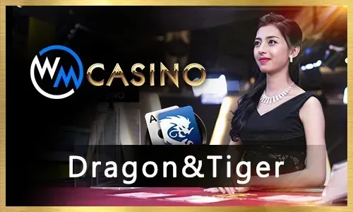 Play'n GO Provider at 8k8 Slot
